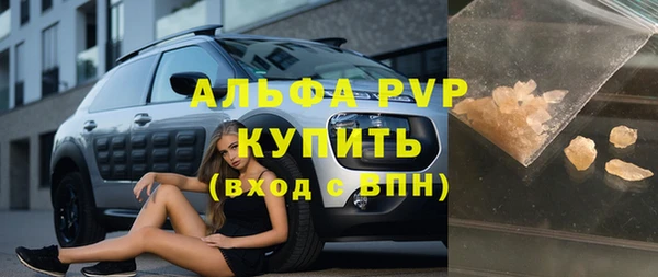 PSILOCYBIN Каменногорск