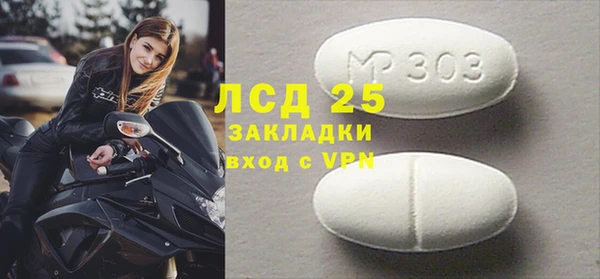 PSILOCYBIN Каменногорск