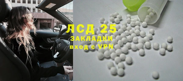 PSILOCYBIN Каменногорск