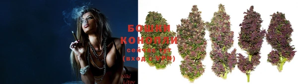 PSILOCYBIN Каменногорск