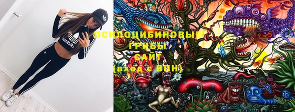 дурь Каменка