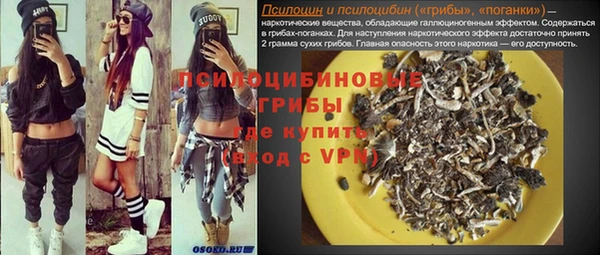 PSILOCYBIN Каменногорск