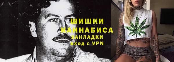 дурь Каменка
