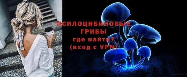 дурь Каменка