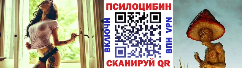 Галлюциногенные грибы GOLDEN TEACHER  Купить закладки  Ставрополь 